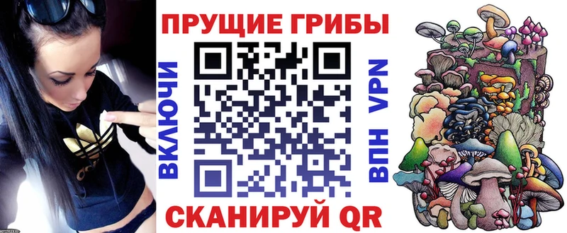 Галлюциногенные грибы ЛСД  Купить закладки  Поворино 